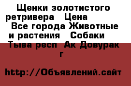Щенки золотистого ретривера › Цена ­ 15 000 - Все города Животные и растения » Собаки   . Тыва респ.,Ак-Довурак г.